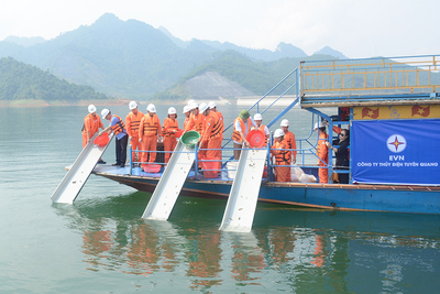 Công ty Thủy điện Tuyên Quang phối hợp với UBND huyện Na Hang (tỉnh Tuyên Quang) thả hơn 3 vạn cá chép xuống hồ thủy điện Tuyên Quang để góp phần tái tạo nguồn lợi thuỷ sản.