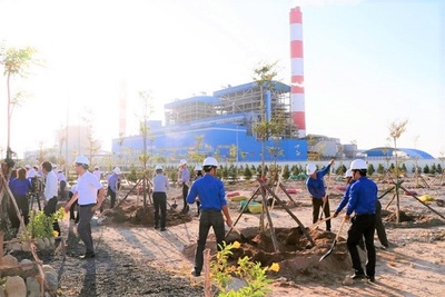 ‘Tết trồng cây’ tại Công ty Nhiệt điện Vĩnh Tân