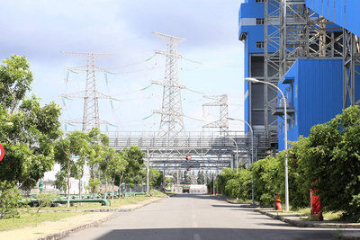 Cây xanh tại khuôn viên nhà máy nhiệt điện Duyên Hải 1 và nhà máy nhiệt điện Duyên Hải 3.
