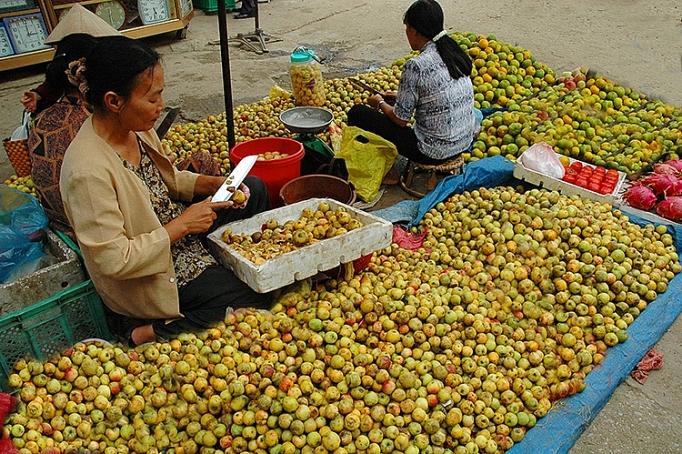 son la quang ba tieu thu qua son tra